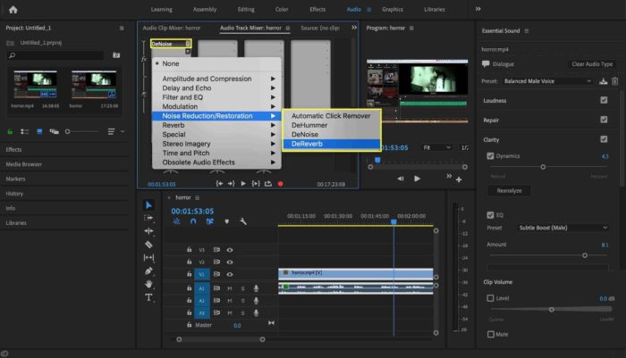 how to use denoiser 2 in premiere pro