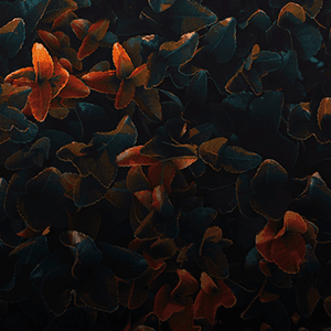 Brink Suspense image